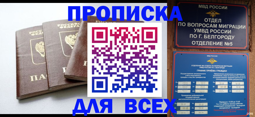 прописка в Купино